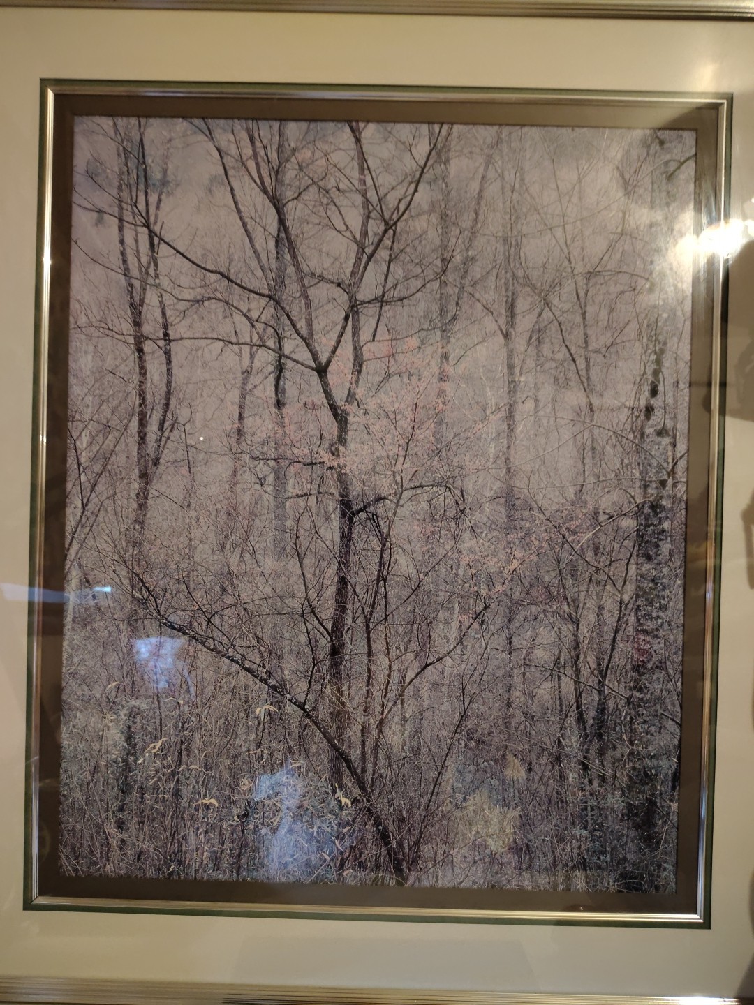 Eliot Porter Print Redbud Tree In Bottom Land Formatting’s Professional Framed