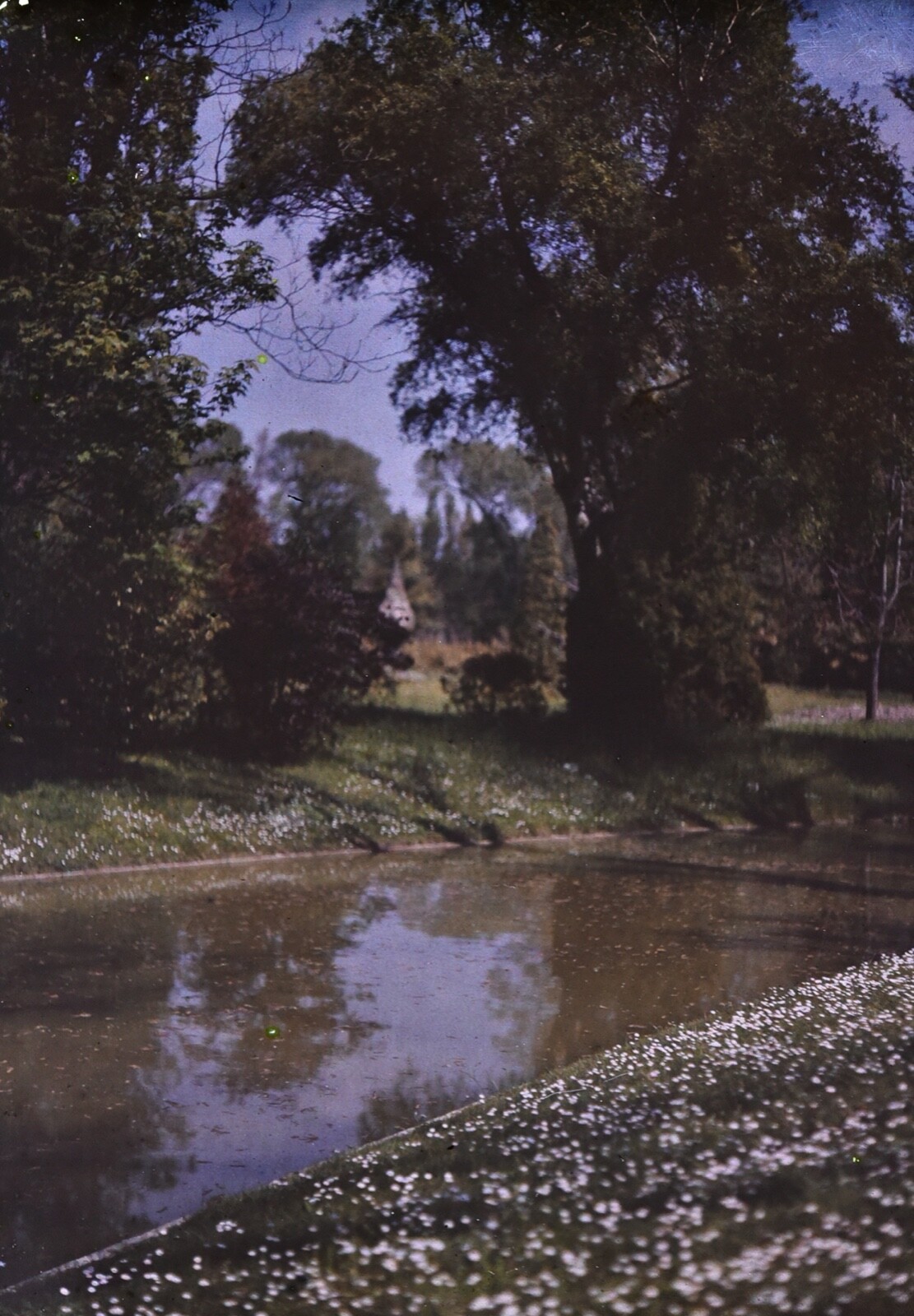 Original glass autochrome 13×18 cm. View around a water source.