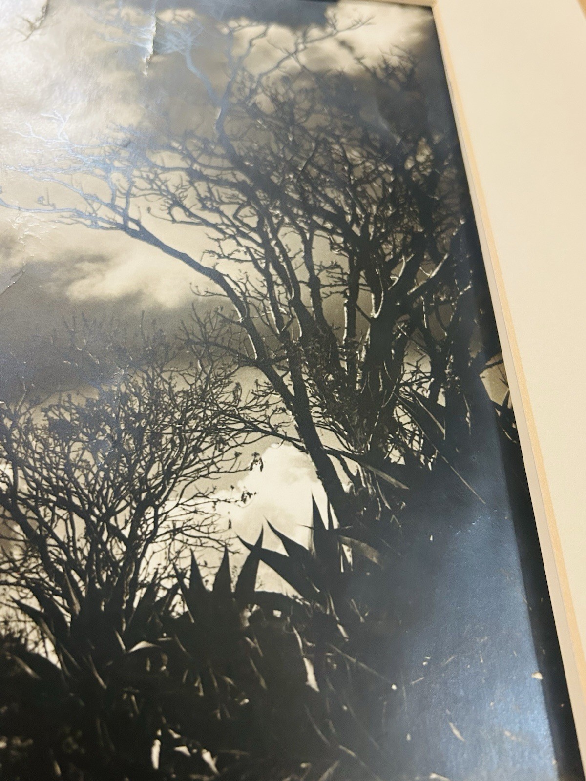 Original Joseph Janney Steinmetz Gelatin Silver Print On Fiber Paper Inscribed**
