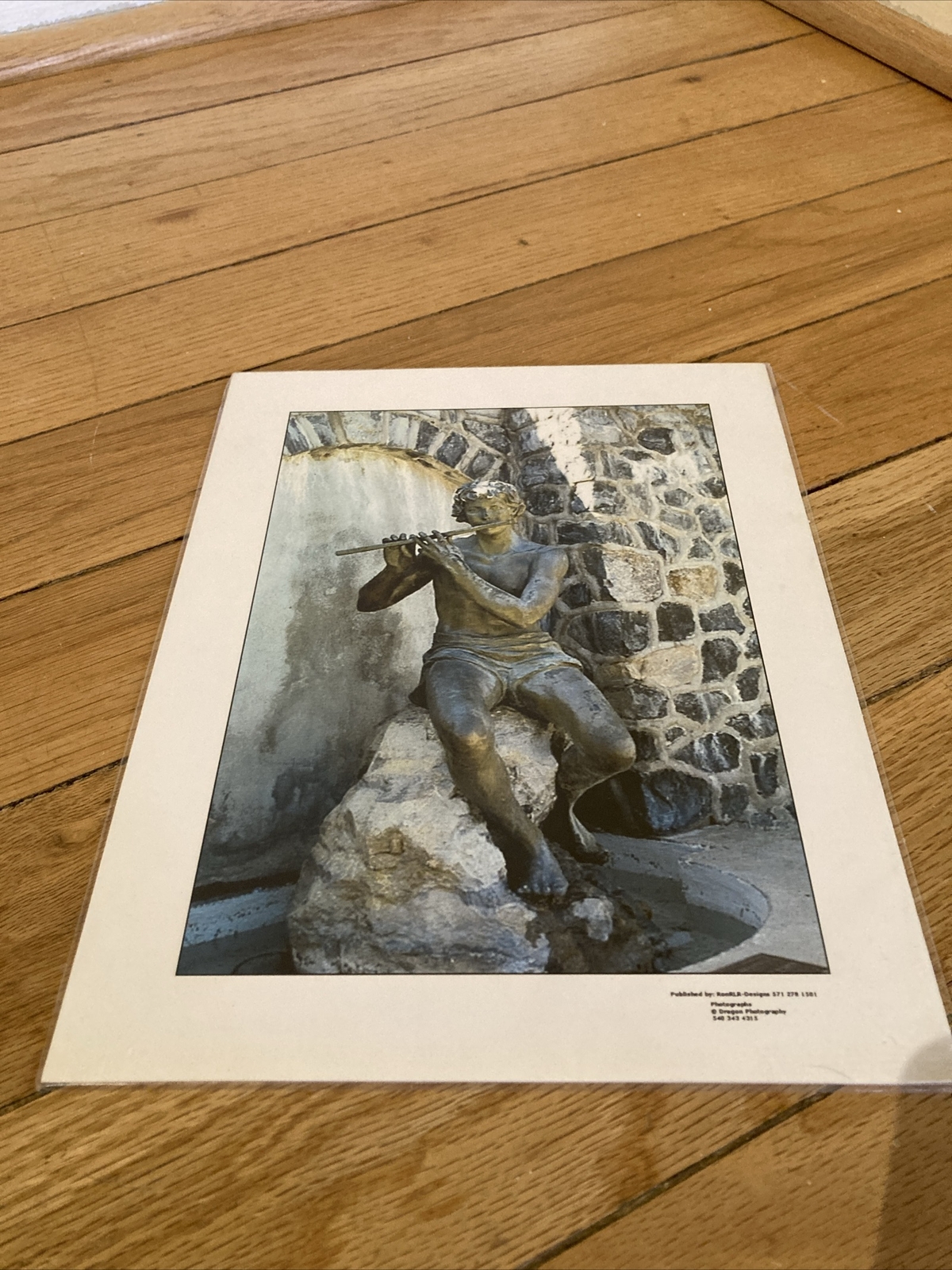 RonRLR designs Photographs@Dragon Photography Print Ready To Frame