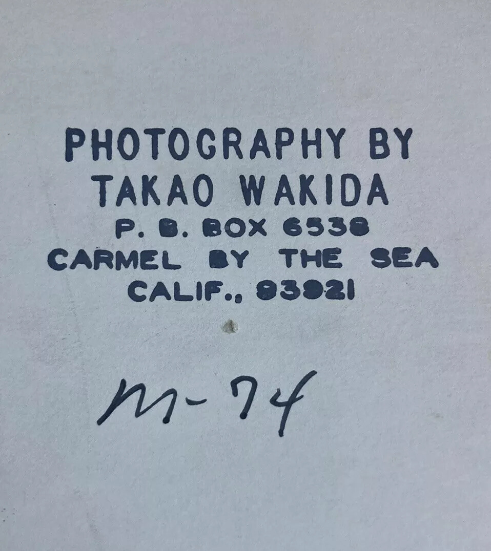 RARE Takao Wakida Photographer Mushroom Original Picture Signed & Framed Nice!!