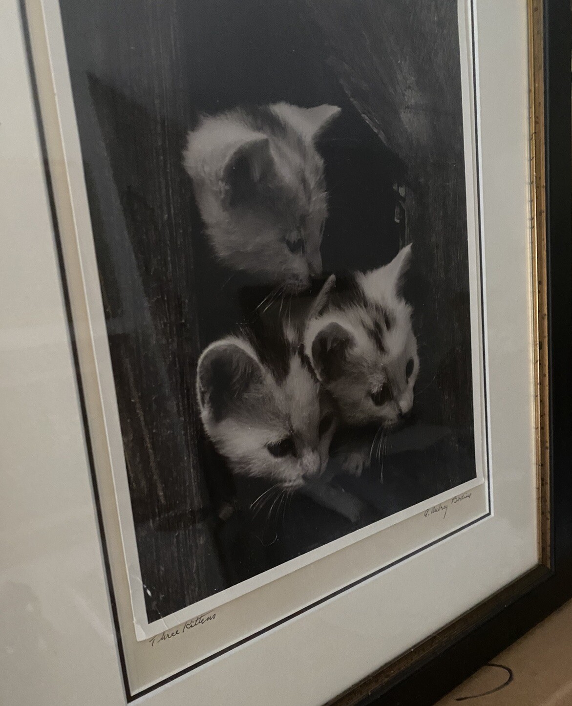 A. Aubrey Bodine American Silver Gelatin Photo Exhibited Maryland Baltimore
