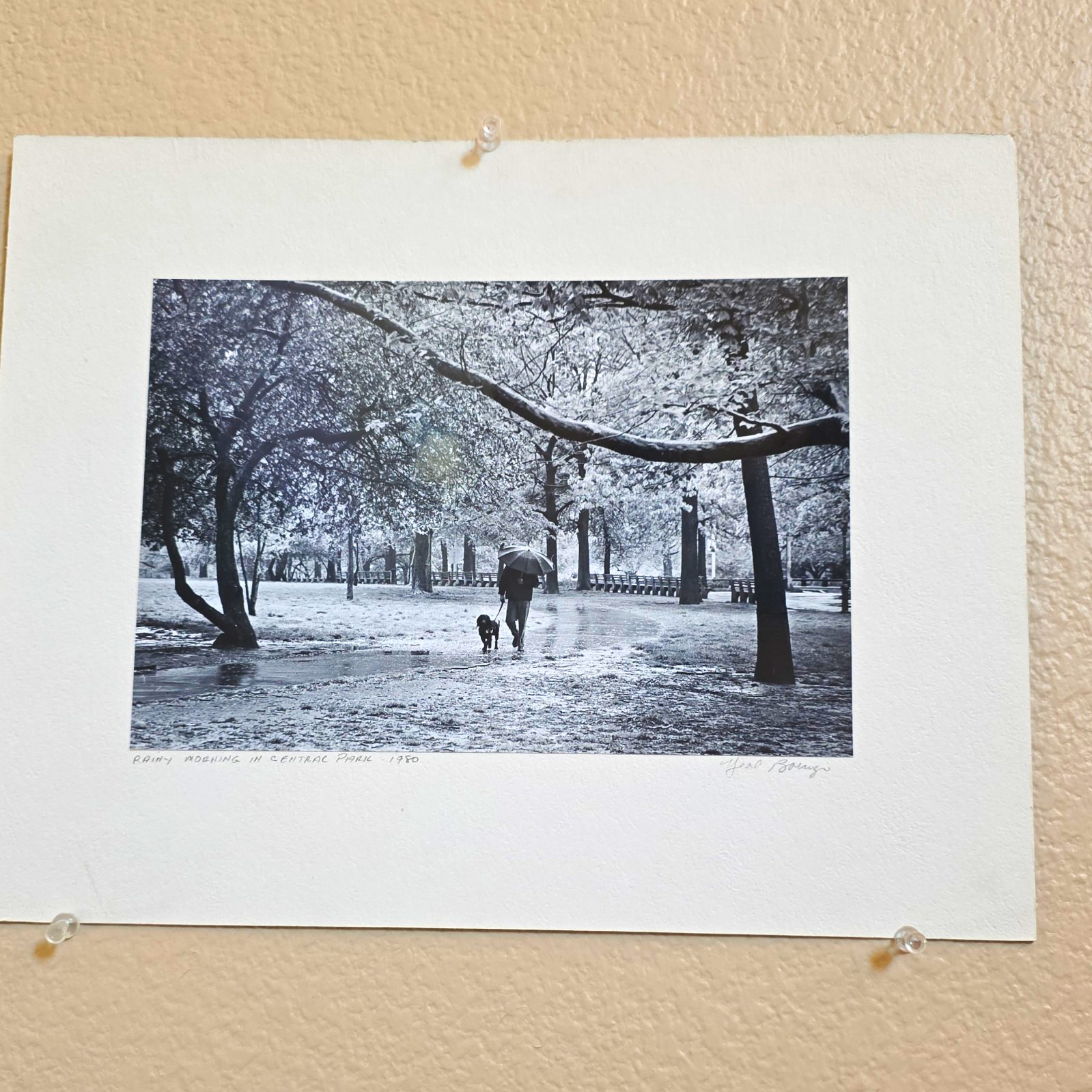 The Photographer Has Passed”Rainy Morning in Central Park” Signed B&W Photo 1980