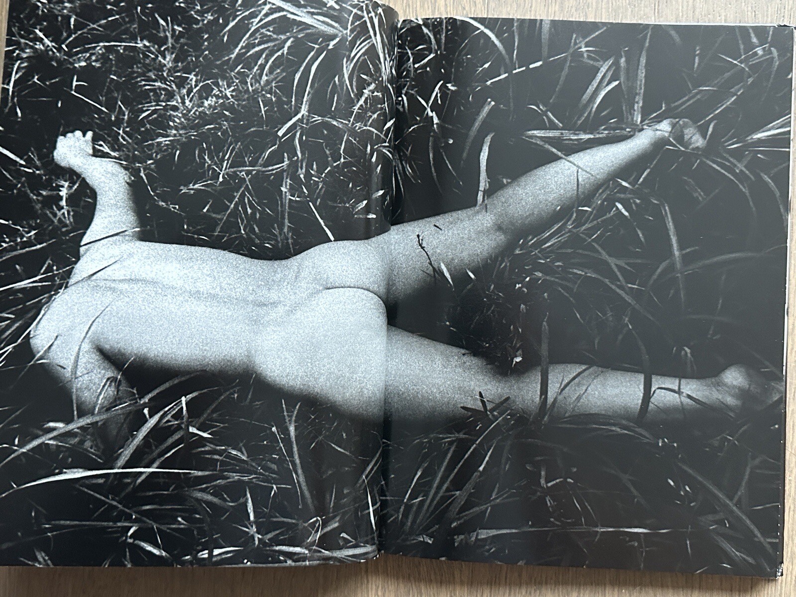 🎈MEGA RARE SIGNED! Daido Moriyama – Retrospective Since 1965, Limited Ed, Araki