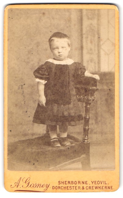 Photograph A. Gosney, Sherborne, Toddler in Dark Dress CDV /Cabinet Photo