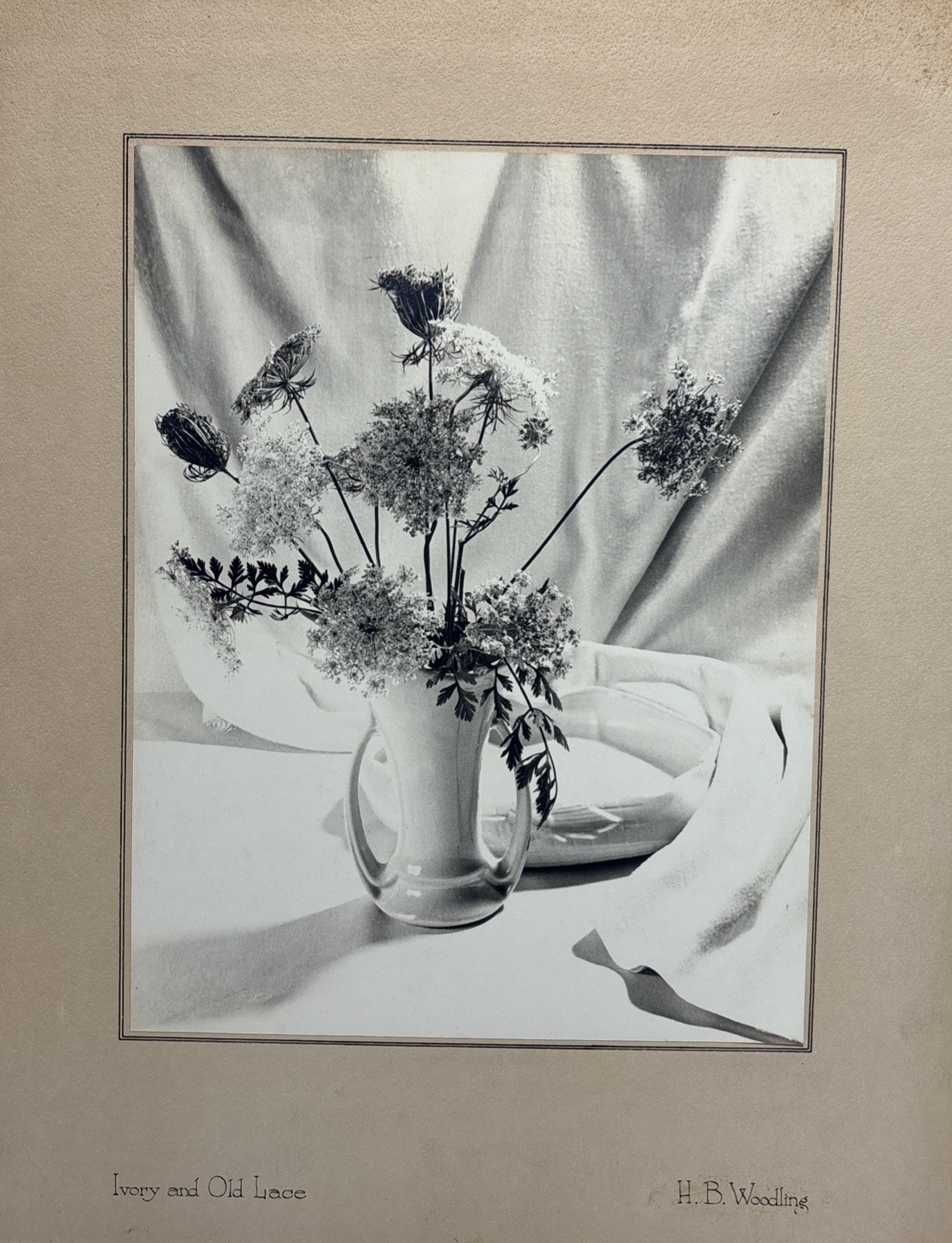 Vintage 1952 Original H.B Woodling “Ivory & Old Lace” Still Life Photograph