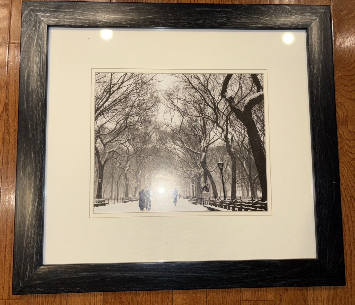 Picture of Central Park in NYC, B n” W, Pic 9″ x 11 1/2″, Bl. Oak Frame 19″x 20″