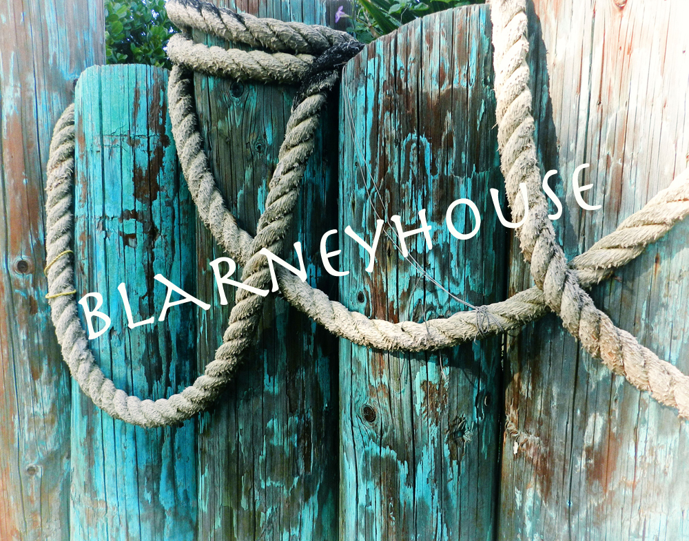 GORGEOUS PHOTO OF WEATHERED PRIMITIVE AQUA PILINGS & NAUTICAL ROPE HAWAII! 11×14