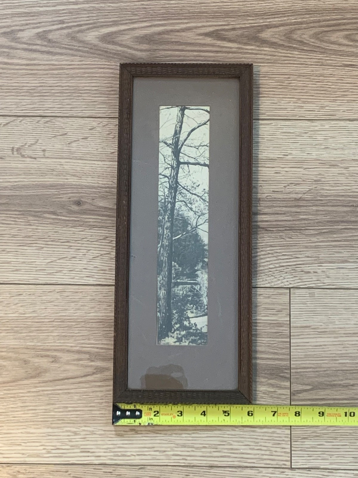 Early 20th Century Pictorialist Winter Tree Silver Gelatin Photograph