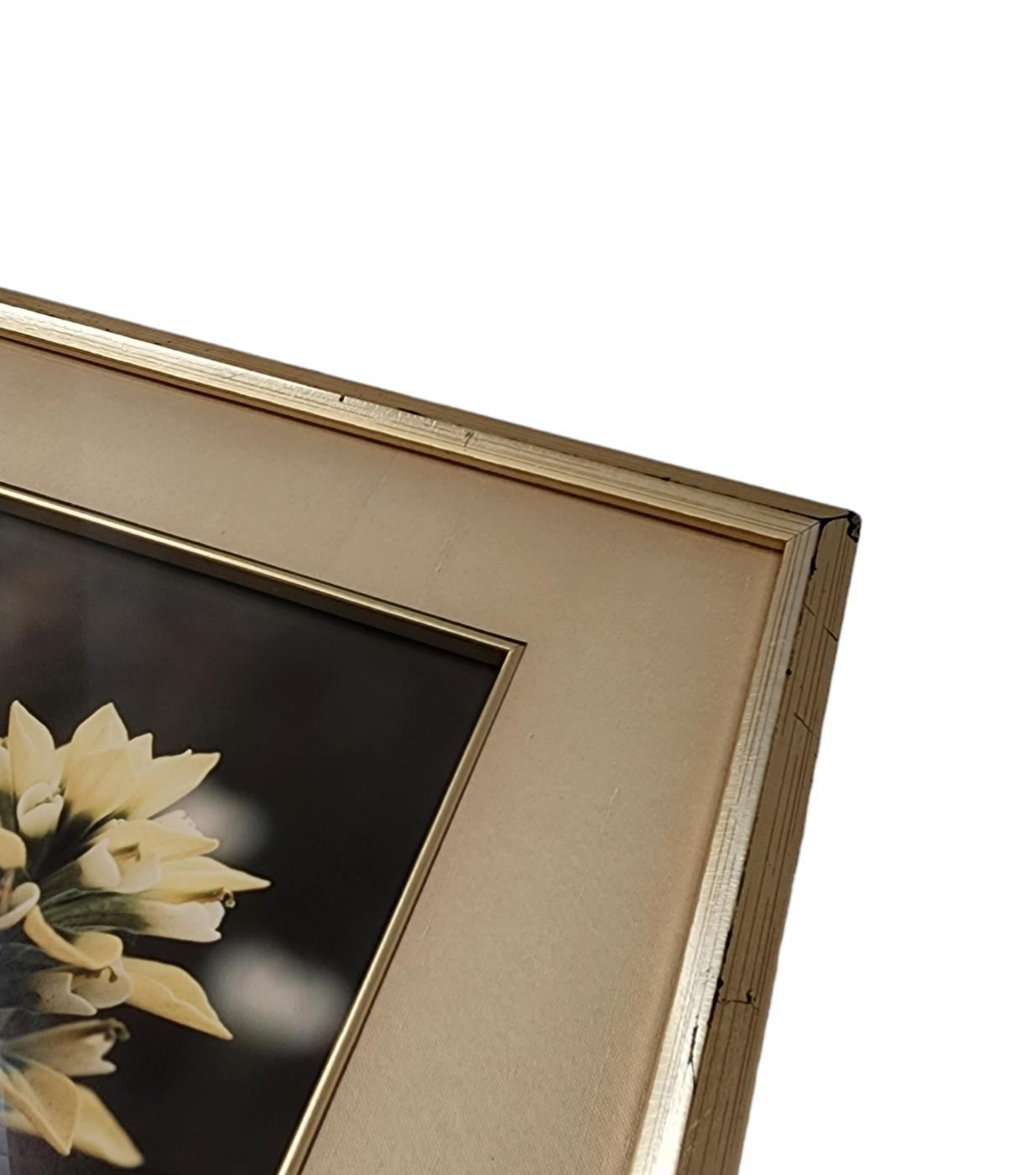 Floral Photograph Wall Art Framed Original Signed Engraved Plaque