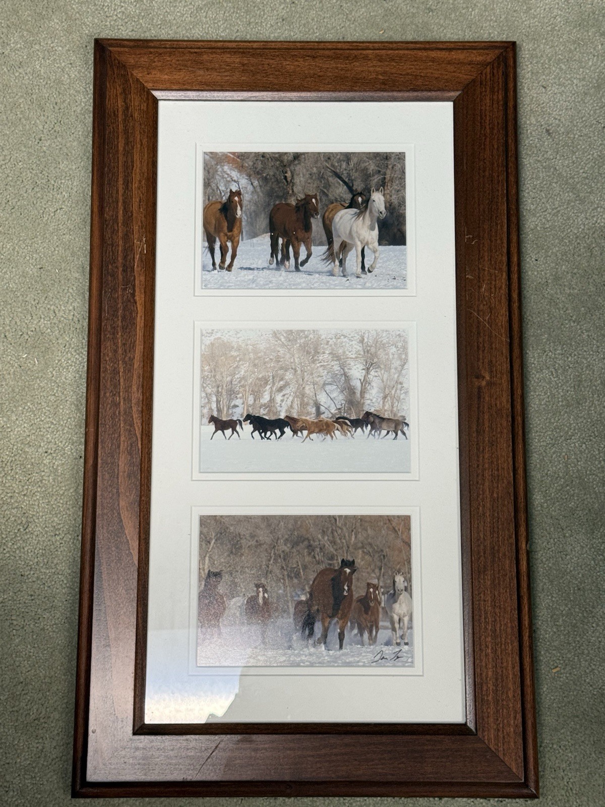 Tri Photo Horse Themed Piece In Wood Frame Signed
