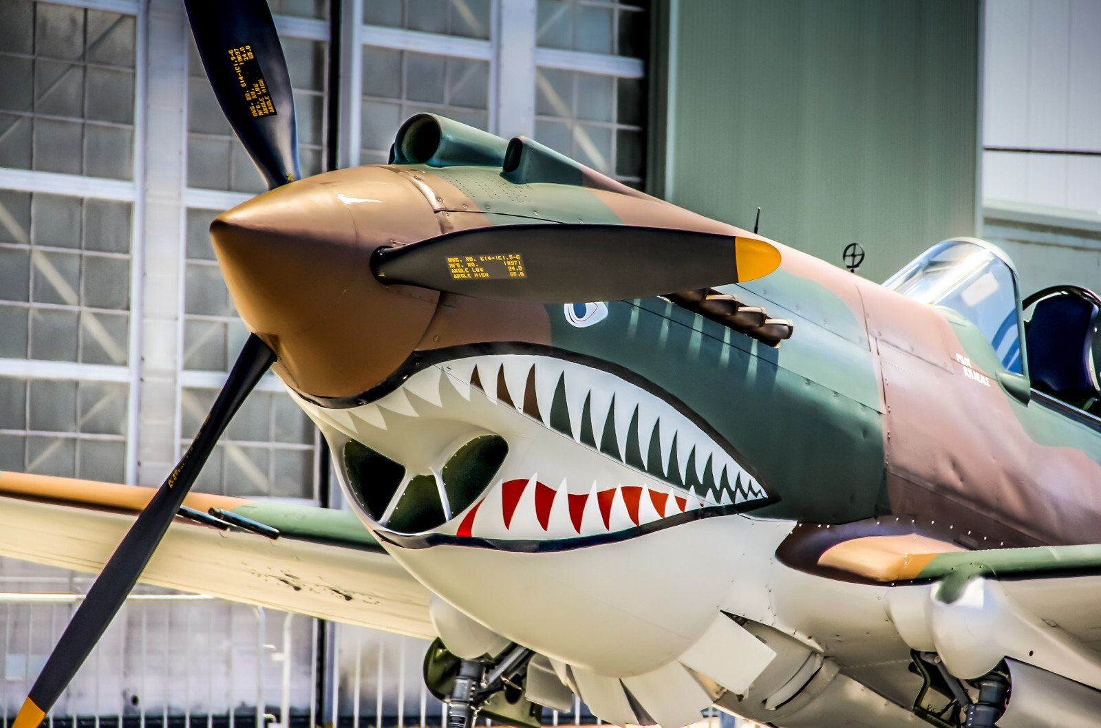 Aviation Decor, WWII Aircraft Wall Art, P-40 Flying Tiger, 20″x30″ canvas Framed