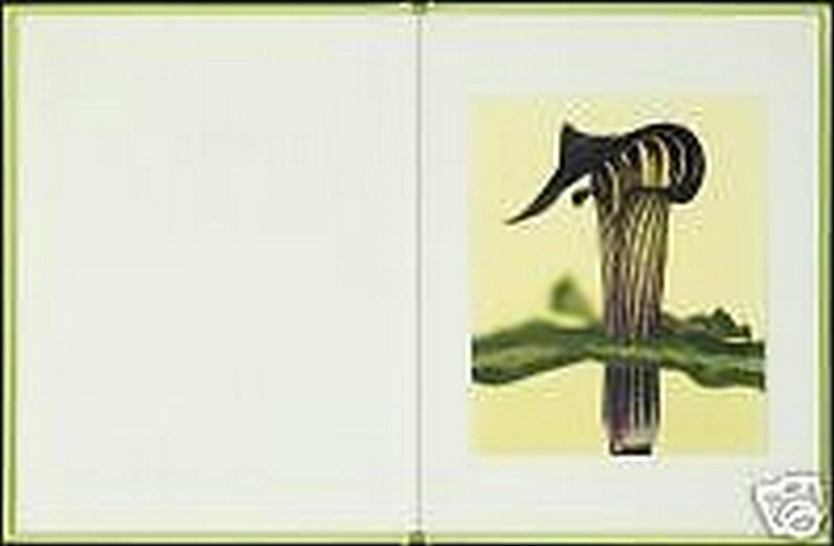 RON VAN DONGEN: One Picture Book Ltd Ed SIGNED w Photo ‘Arisaema Angustatum’ NEW