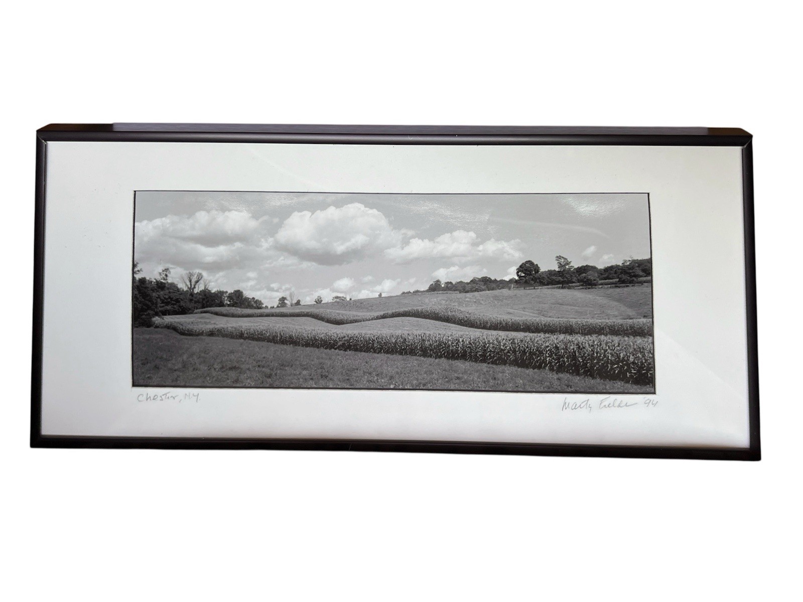 Framed Marty Fields B&W Panorama Landscape Chester, NY 18×8” Signed