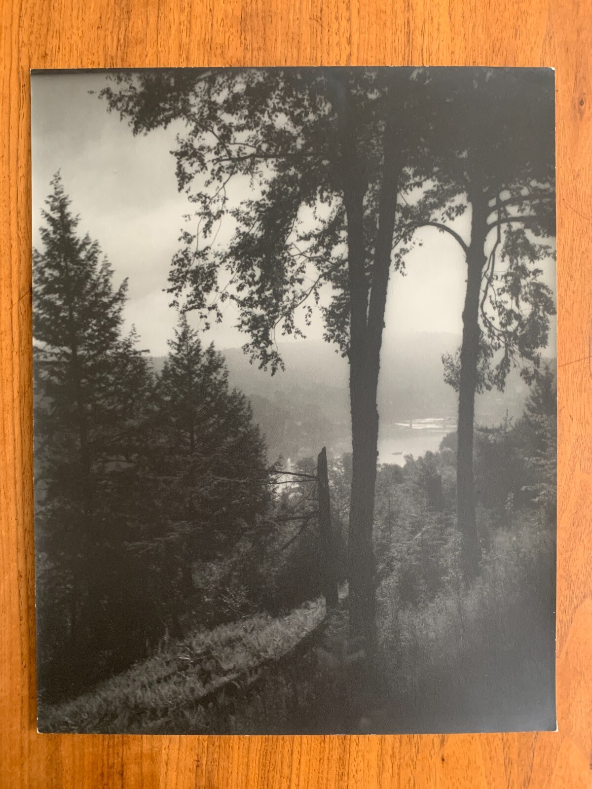 Eleanor Parke Custis c1930s Bromide Photograph of Berkshires, Massachusetts