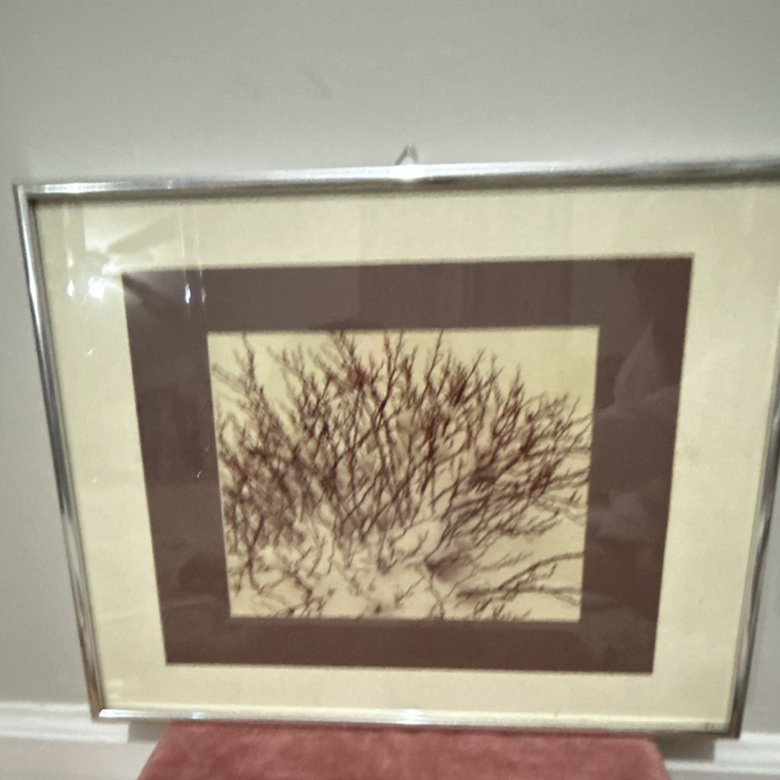 Framed Black & White Photograph ‘Snow Covered Branches’ 24×20 Landscape 1972