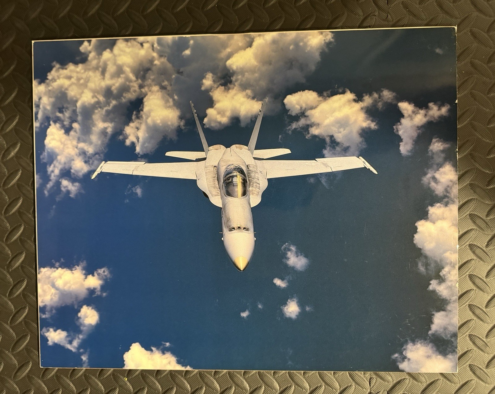 MCDONNELL DOUGLAS * F-18 HORNET * U.S. NAVY * U.S. MARINES * 20″ x 16″ PHOTO