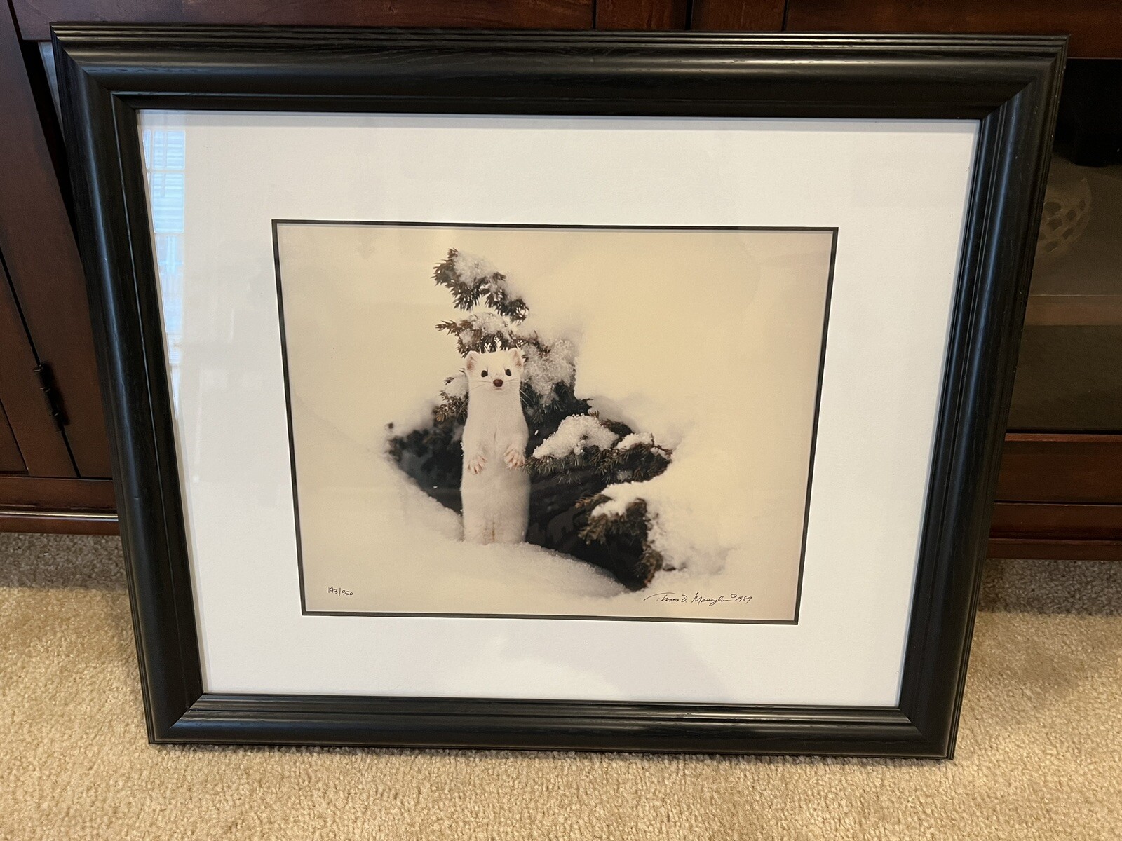 Signed “December Ermine” by Thomas D. Mangelsen. Item Number 1130. 193/950.