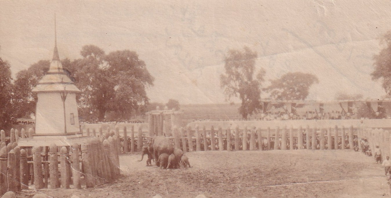 Robert Lenz (1864-1939) – Siam Thailand Snapshot Elephants – Circa 1900