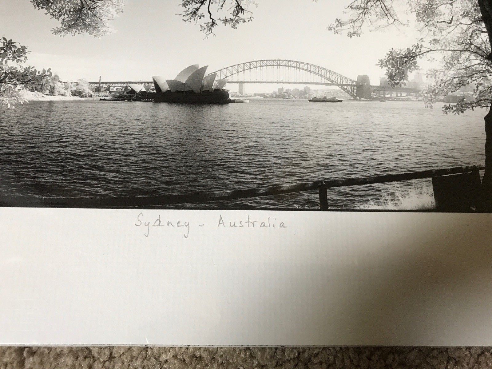 Jonathan Marks Sydney Australia 8 1/2″ x 17 3/4″ Signed Photograph Sealed New