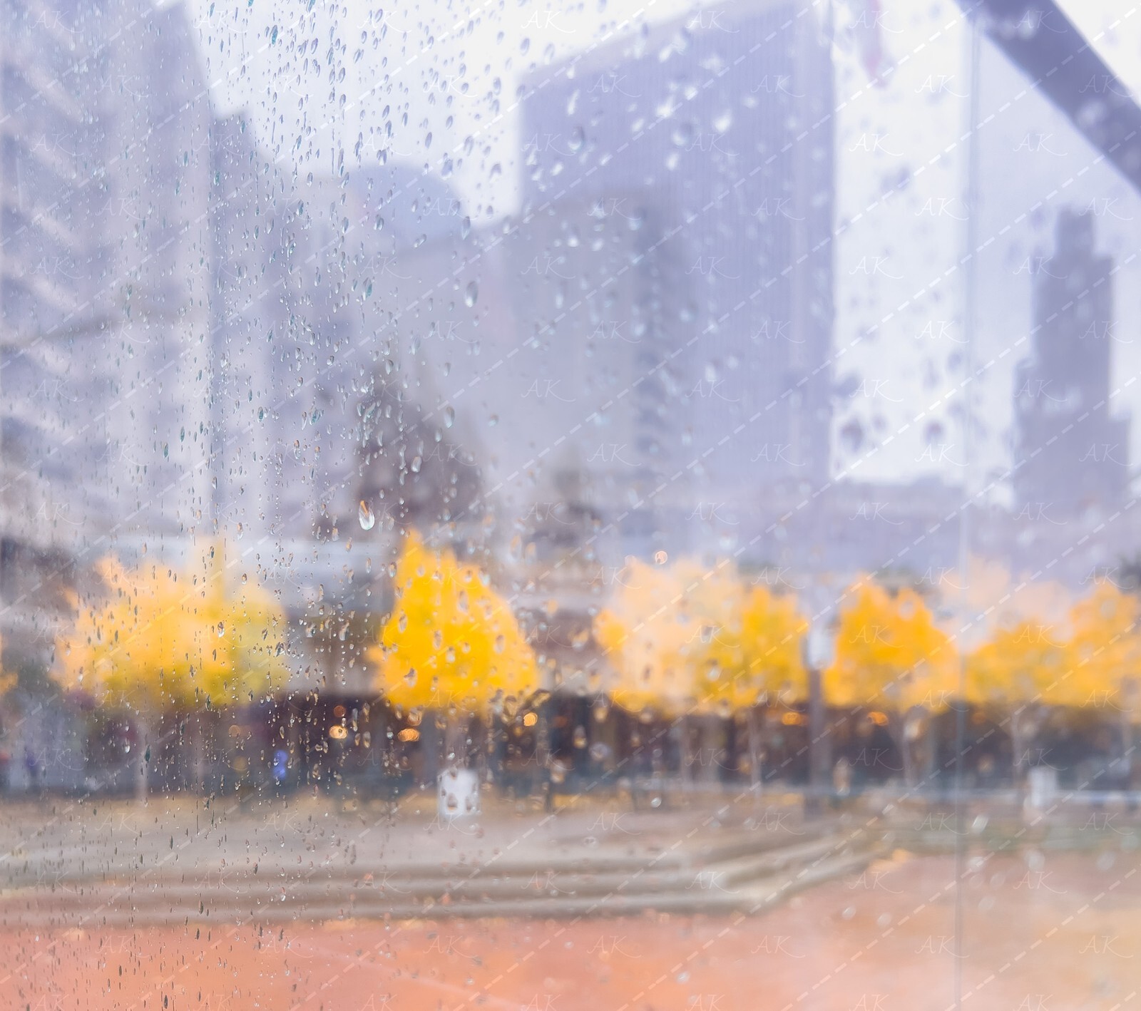 Digital Image Picture Photo Wallpaper: Rainy Fall Colors on Embarcadero