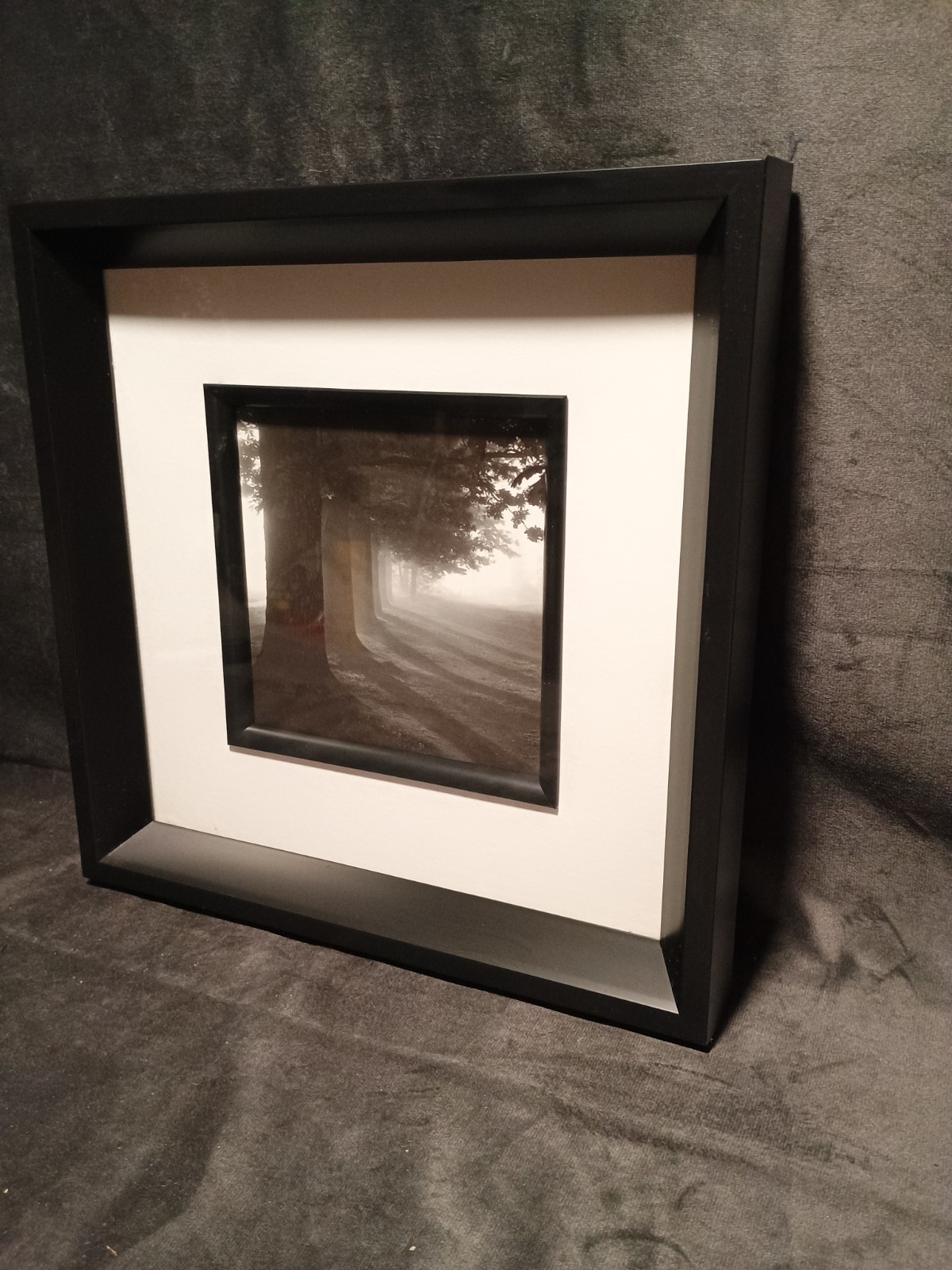2 Modern Black & White Photography Trees Minimalist Moody 11.25 ” Square Frames