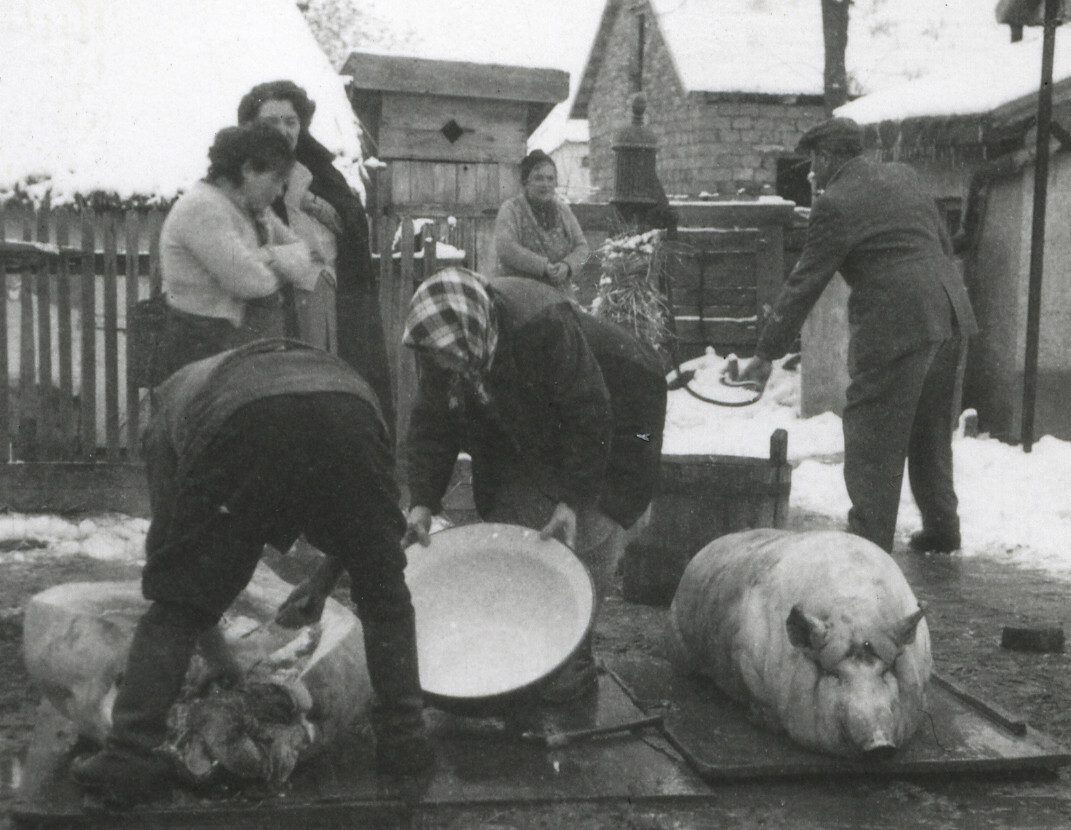 pig slaughter, abstract, unusual, animal, strange, Vintage fine art Photograph,