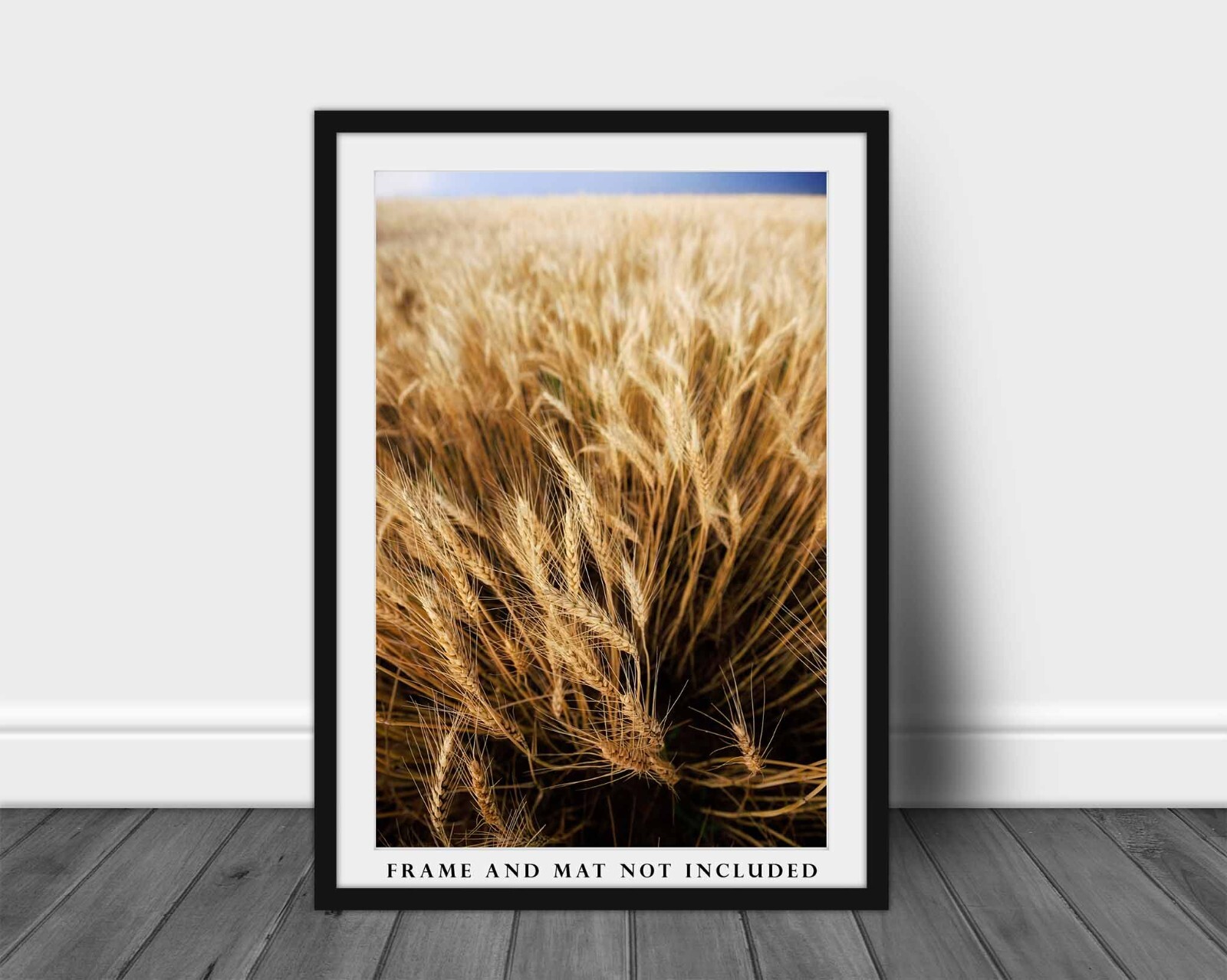 Golden Wheat Field Photography Print | Vertical Farm Picture | Oklahoma Wall Art