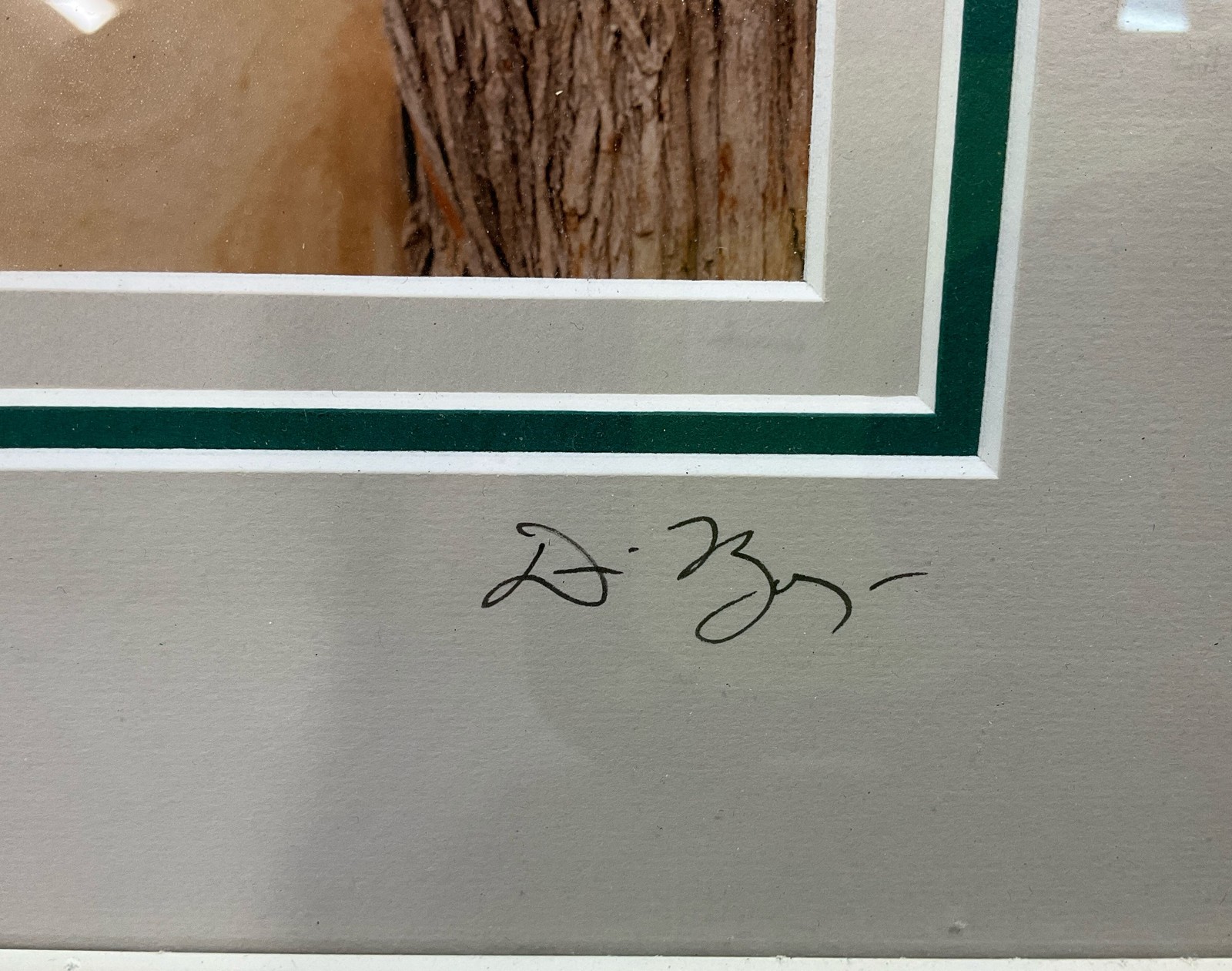 Dennis Barloga Signed Lilac Shutters Numbered Photo Print