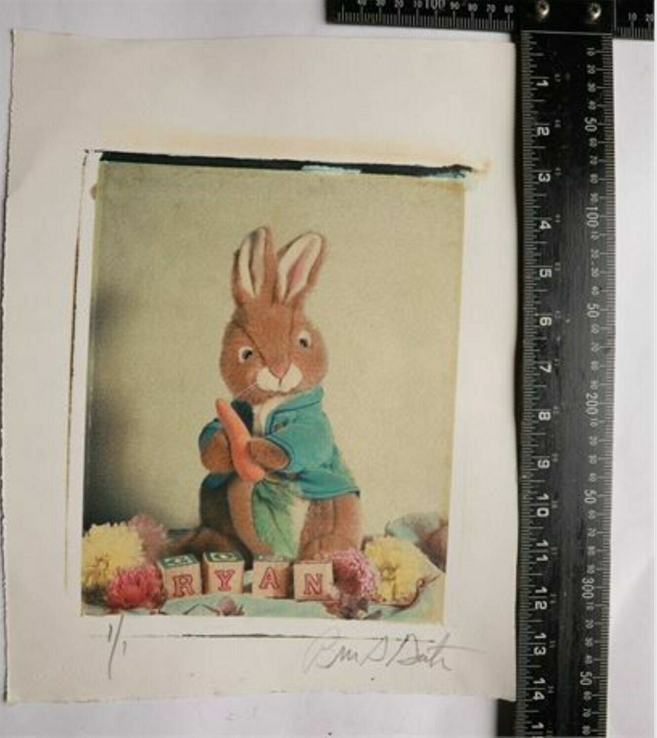 Polaroid Transfer Fine Art Photography, Signed Limited Edition Petter Rabbit