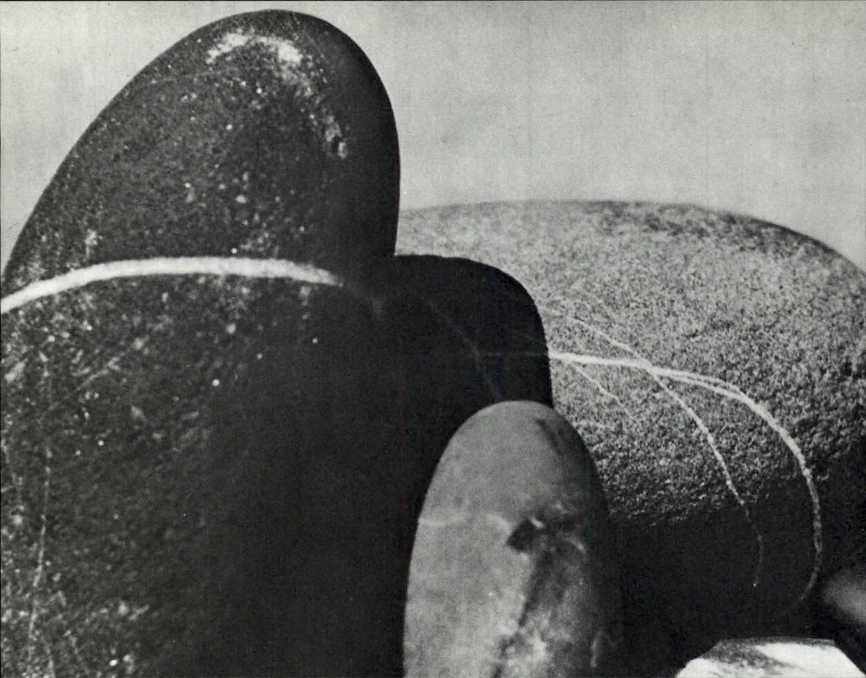 1975 Man Ray Eroded Rounded Beach Stones Abstract Art Photo Gravure 11