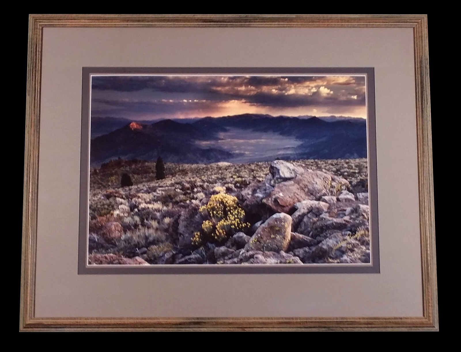 FRAMED 1993 DESERT LANDSCAPE PHOTO PHOTOGRAPH BY ARIZONA ARTIST JACKSON BRIDGES