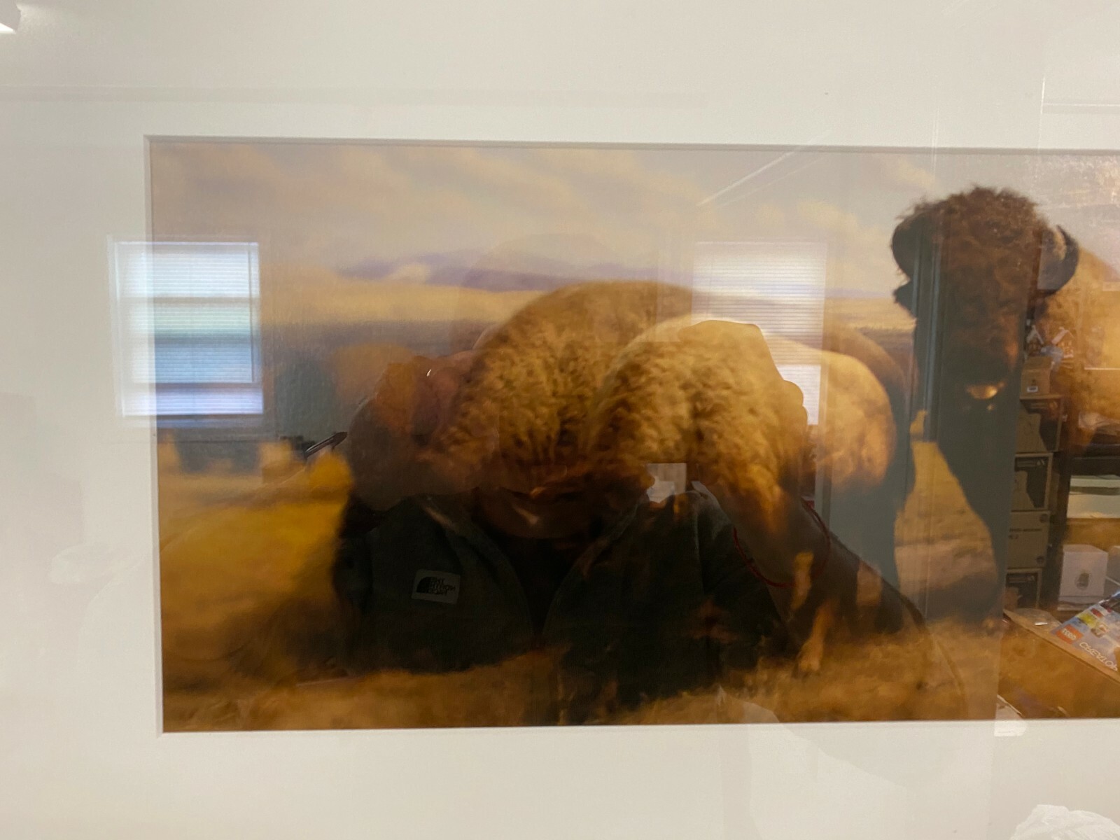 Jonathan Singer “Buffalo” 2006/2008 Edition 3/10 Inkjet Print in Wood Frame