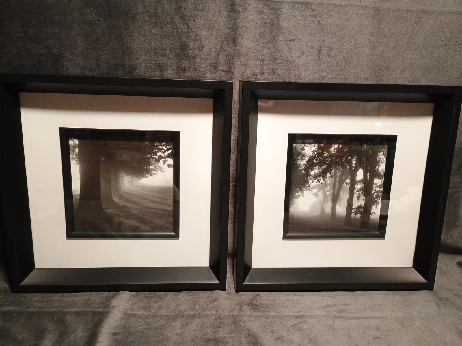 2 Modern Black & White Photography Trees Minimalist Moody 11.25 ” Square Frames