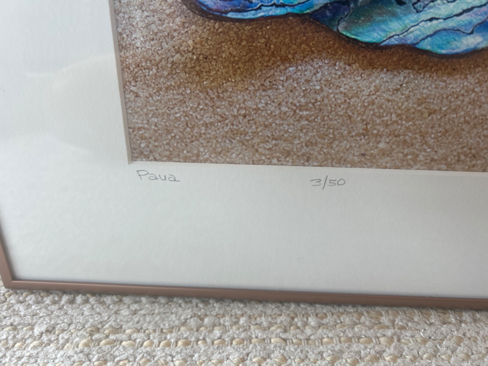 Beautiful ORIGINAL SIGNED Ocean Coastal Seashell FRAMED