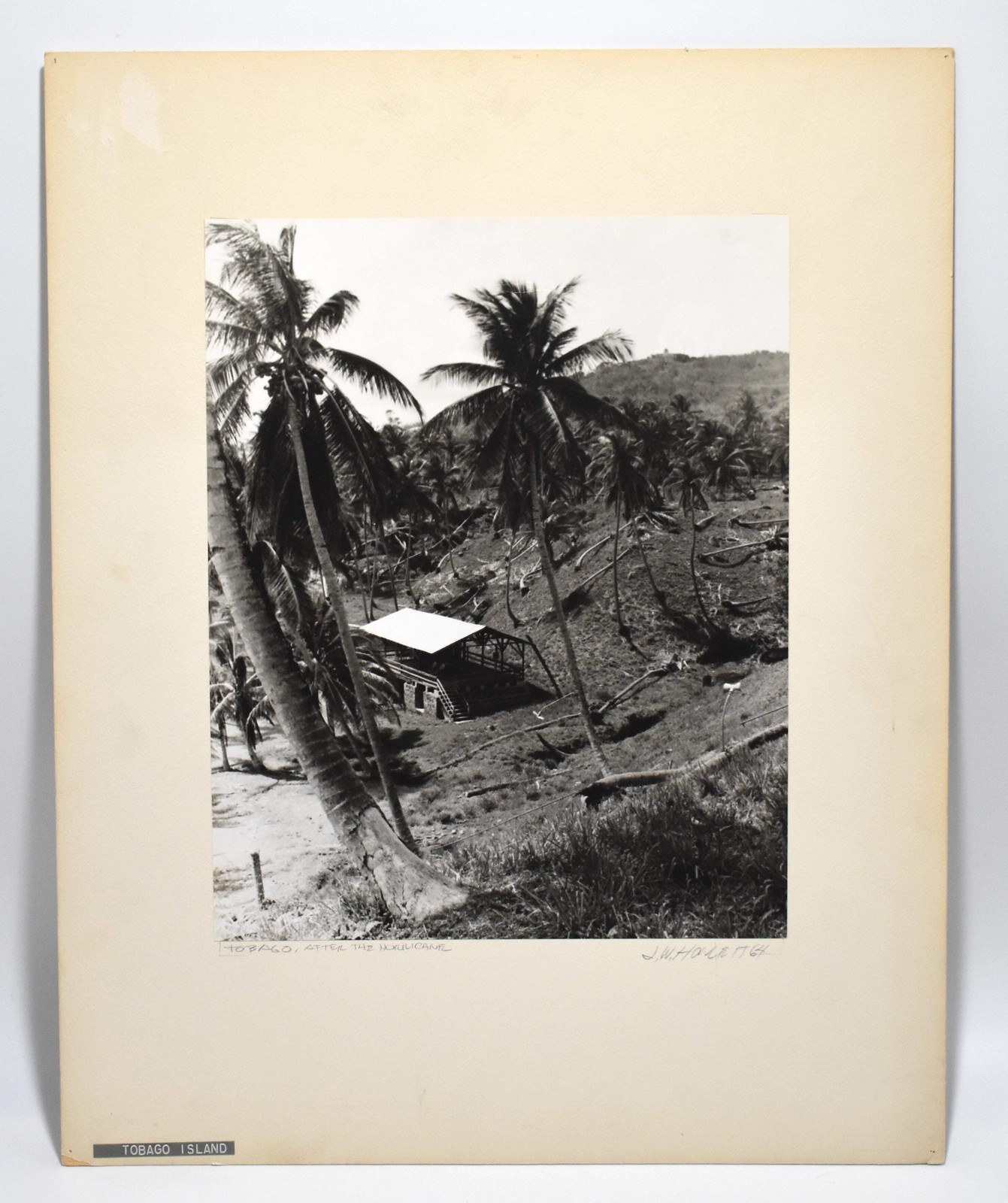 Vintage J.W. Howlett Black + White Photograph, ‘Tobago Island After the Hurrican