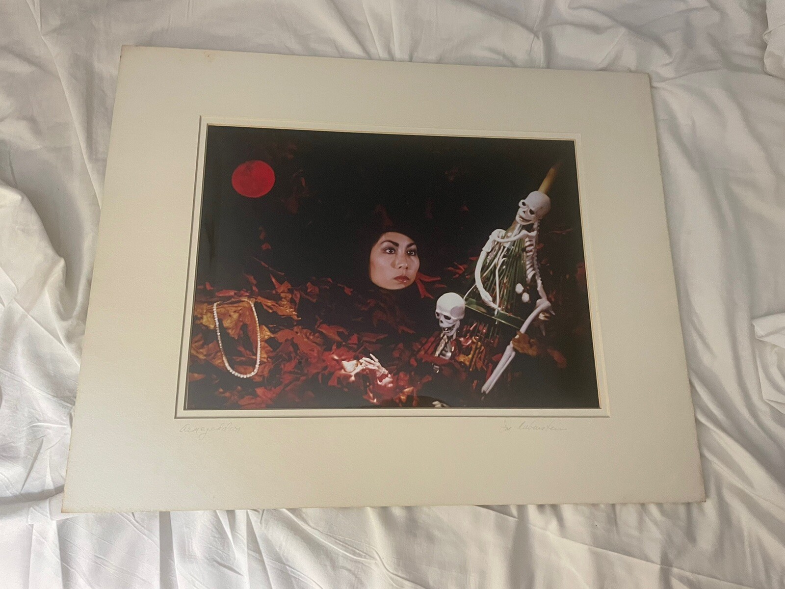 Cibachrome Photo Iriving Rubenstein Armageddon Skeleton Exhibition