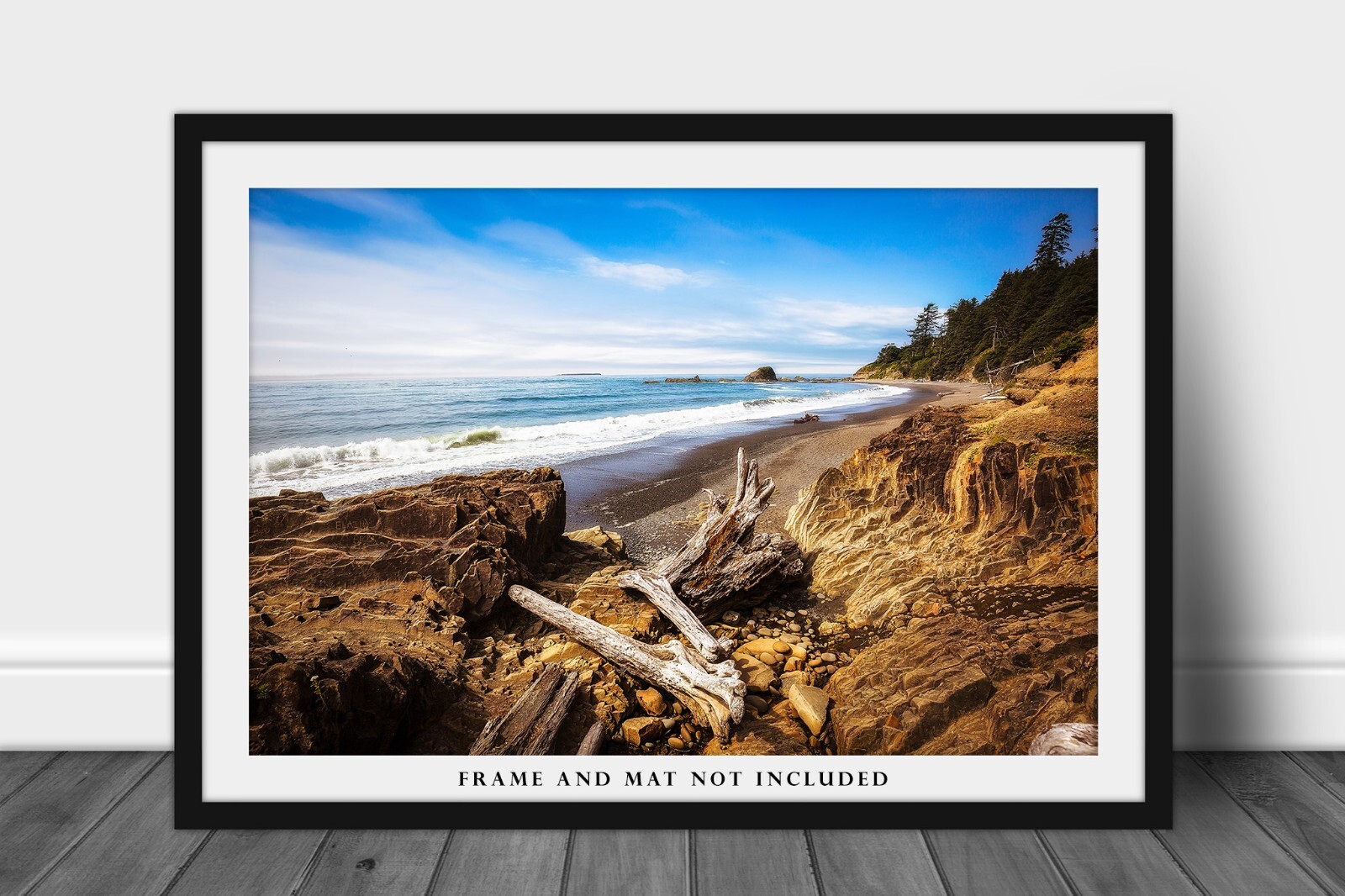 Driftwood Photography Print: Washington Coast Pacific Northwest Beach Photo