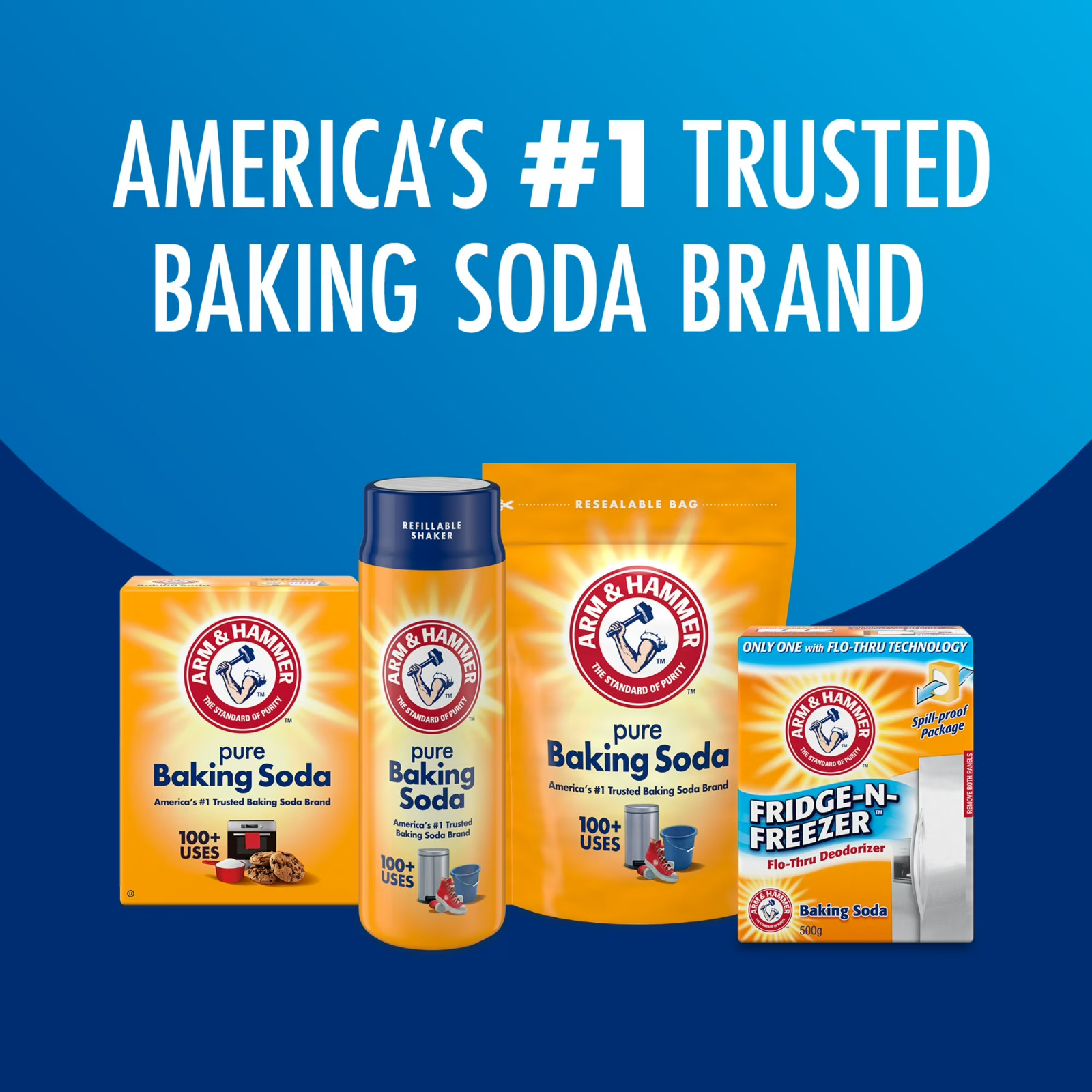 Pure Baking Soda, for Baking, Cleaning & Deodorizing, Pool 10.8 lb Bag New