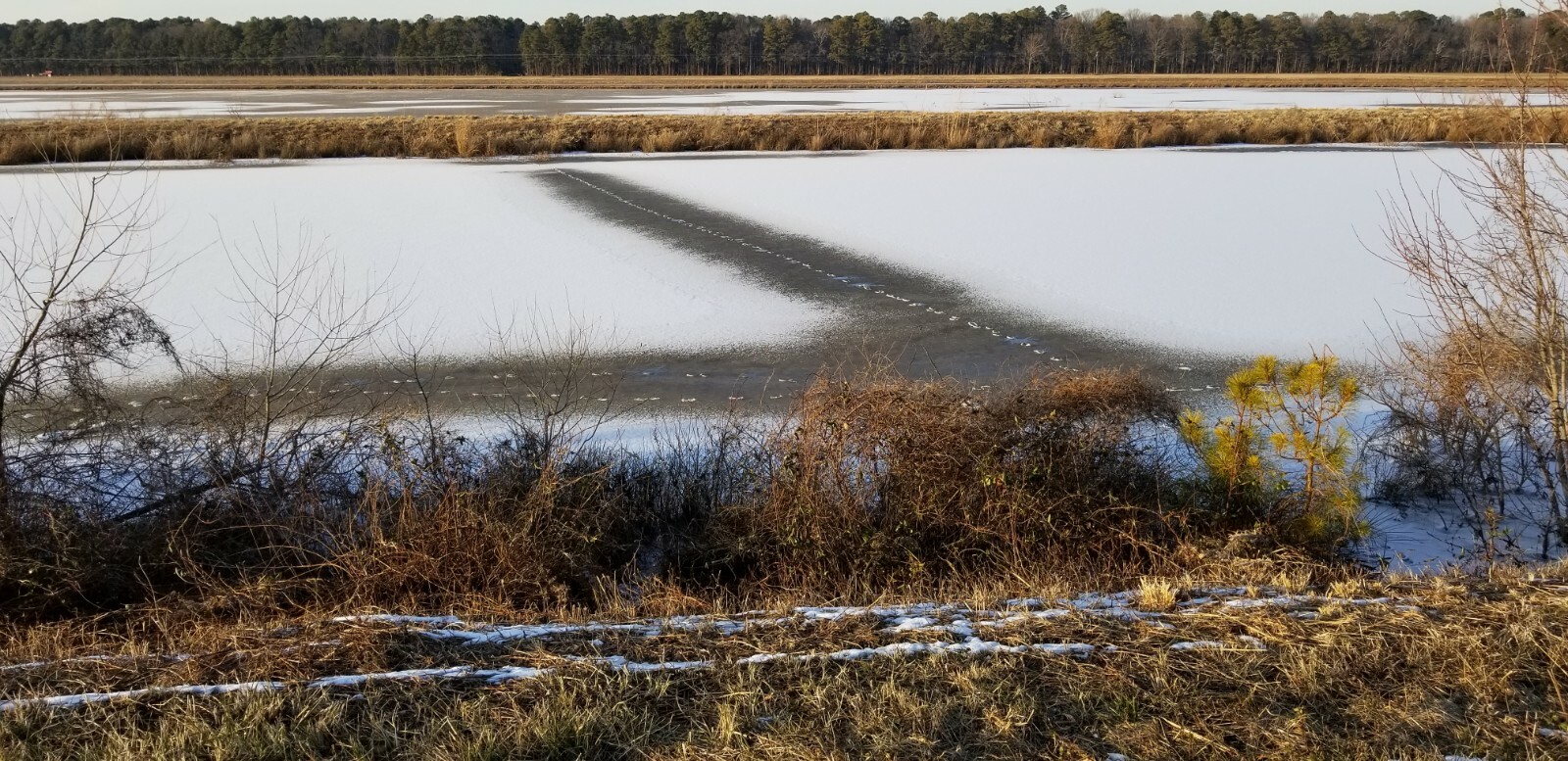 Blackwater National Wildlife Refuge, Cambridge, Maryland