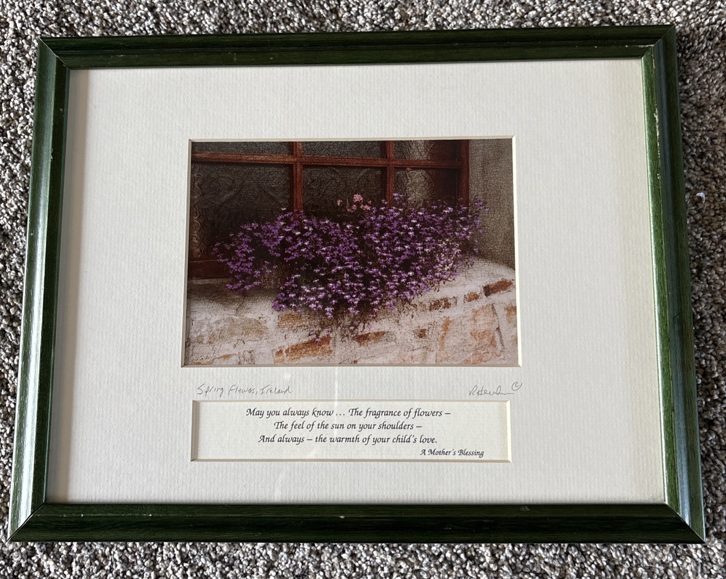 Celtic Images Spring Flowers, Ireland A Mother’s Blessing R Henderson
