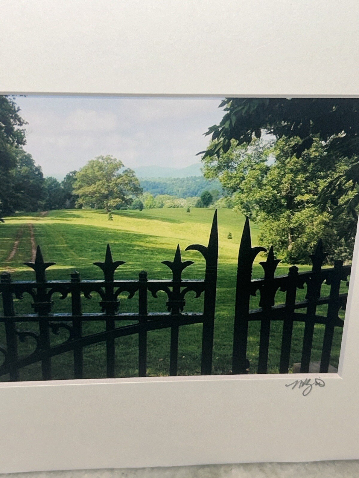 Signed ‘Gated’ Lush Pasture Landscape Photo Photograph (5”x7”) 8”T 10”W Matted