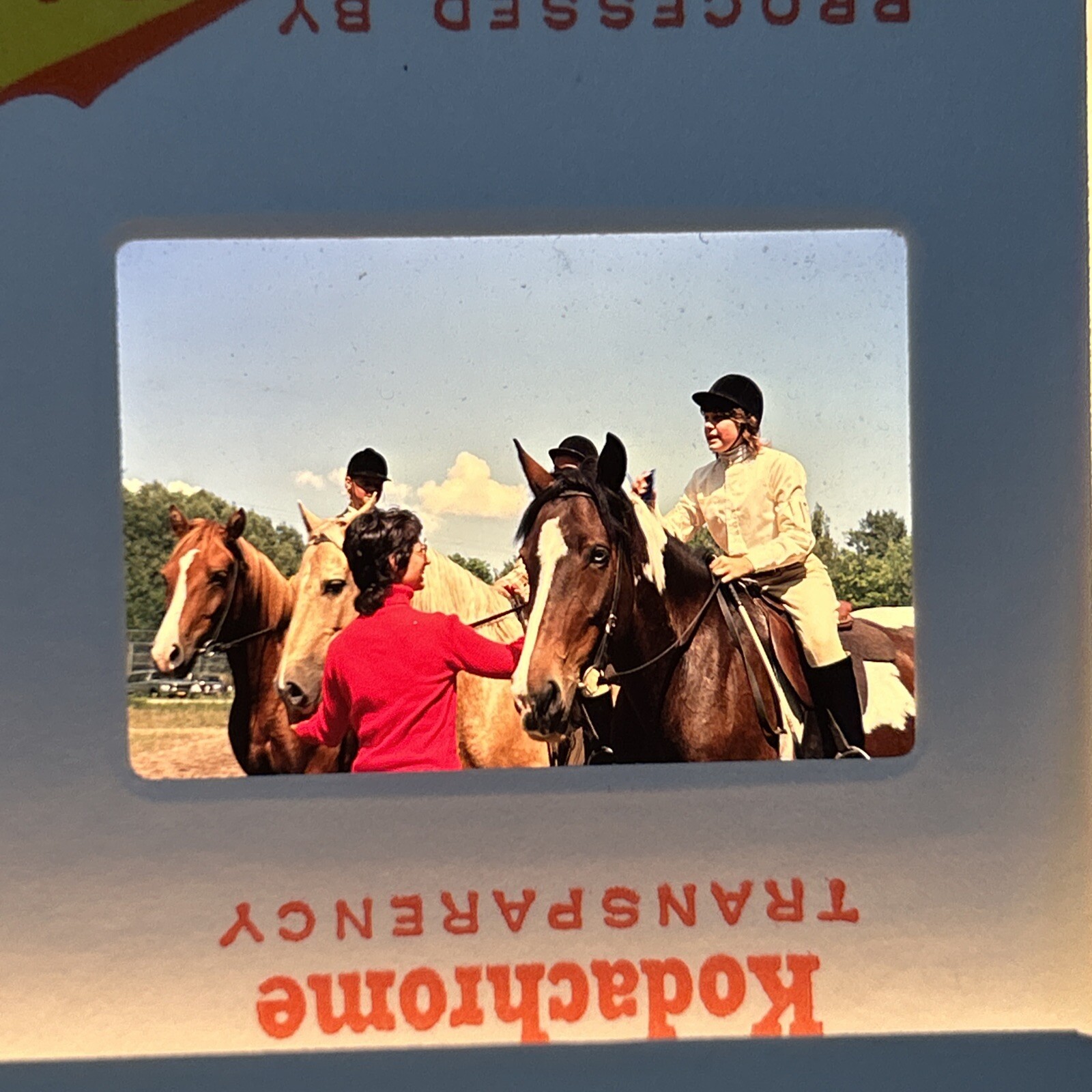 Kodachrome 35mm Slides 1970’s Equestrian Bahamas Vacation Lot of 40