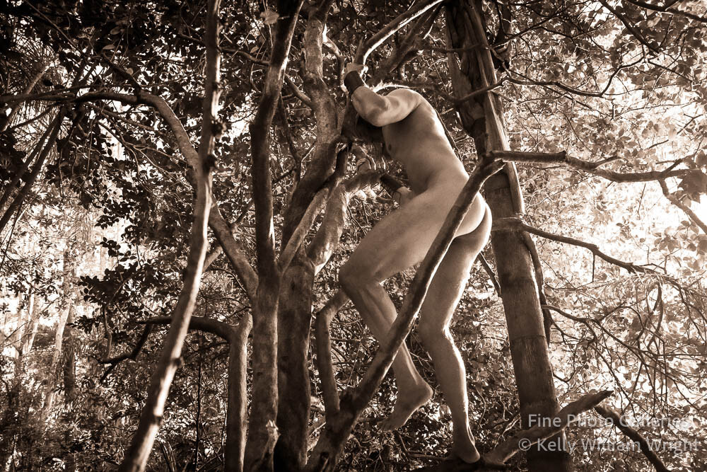 Original Male Nude KELLY WILLIAM WRIGHT Song Of The Trees #16 Stamped Photo 9×13