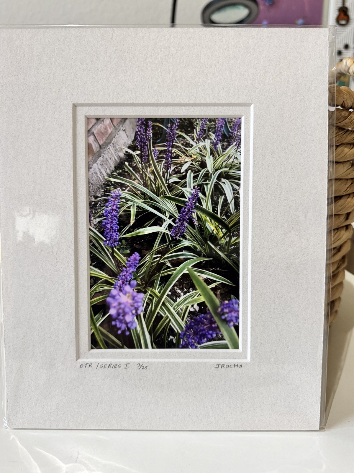 Original Photography 5X7 Picture Double Matted For 8X10 Frame