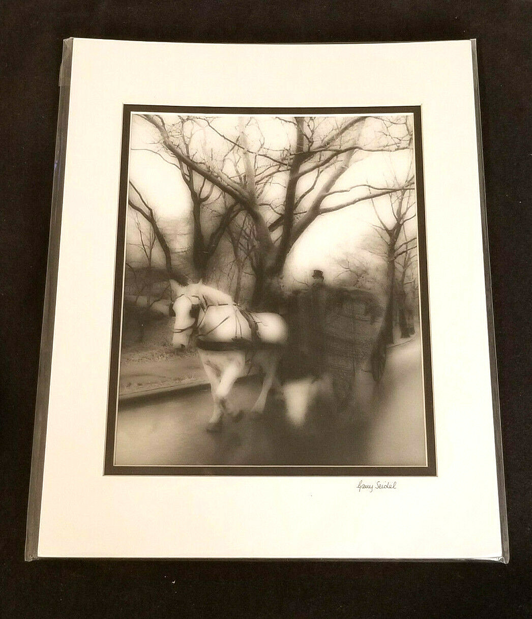 Garry Seidel Signed Photograph “Horse and Carriage” Gelatin Process 11″ x 14″