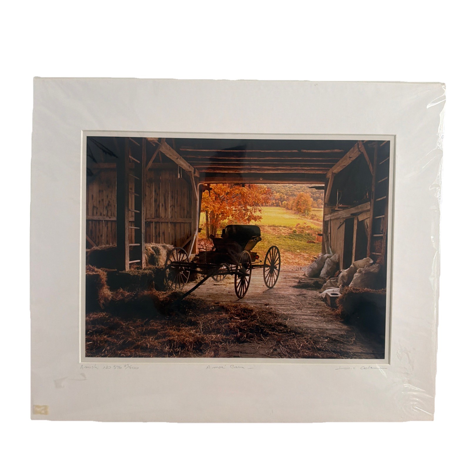 Vintage Bill Coleman Signed Numbered Matted No 576 27/400 Amos’ Barn Photograph