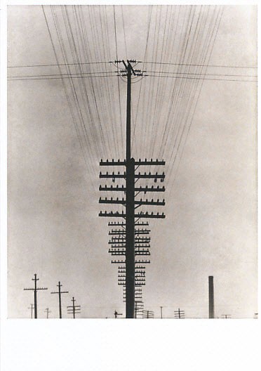 Tina Modotti, “Telegraph Wires”, postcard, postcard, carte postale