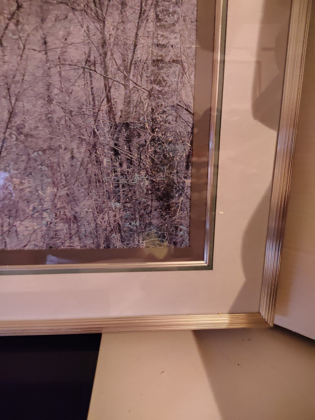 Eliot Porter Print Redbud Tree In Bottom Land Formatting’s Professional Framed
