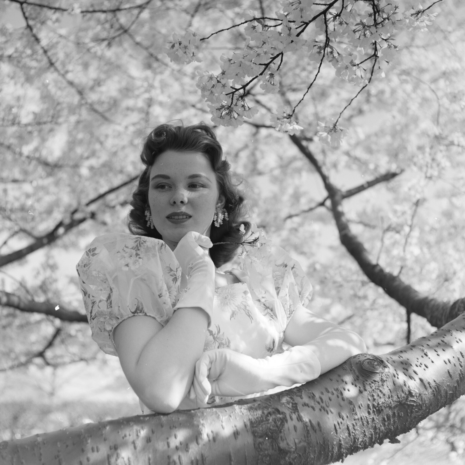 Analog Photo Print Woman in a Tree 30x30cm Pin Up 1970